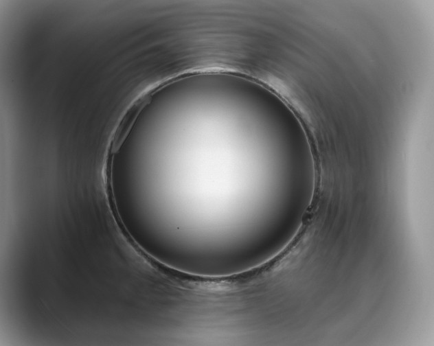 X0000089901189200707051302