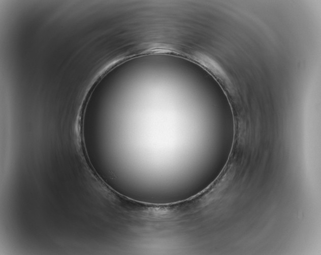 X0000089901190200707051302