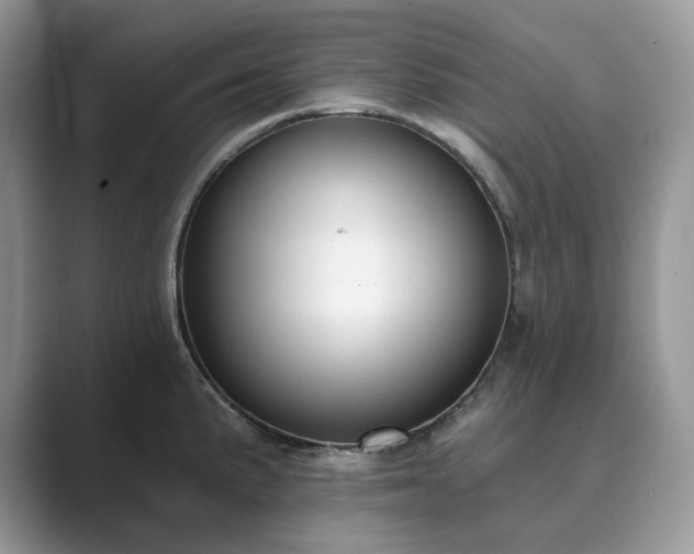 X0000089901191200707051302