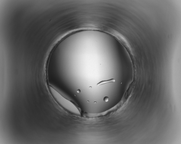 X0000089901192200707051302