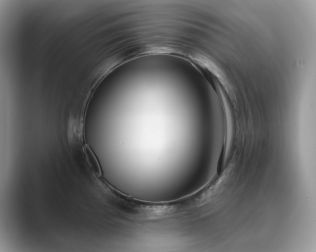 X0000089901193200707051302