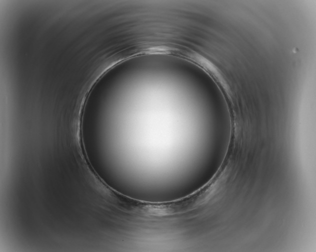 X0000089901194200707051302