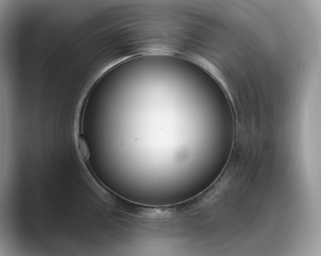X0000089901195200707051302