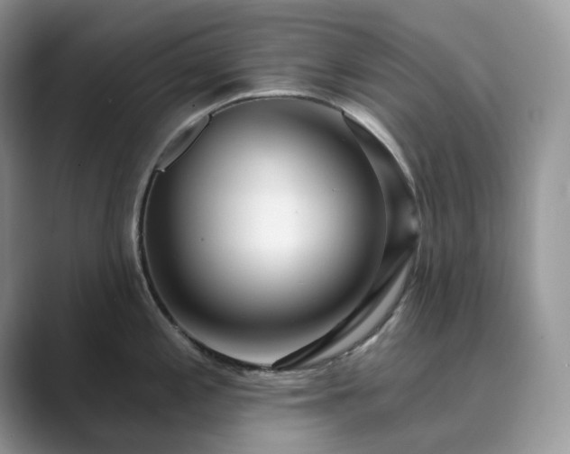 X0000089901197200707051302