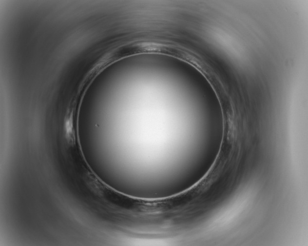 X0000089901198200707051302