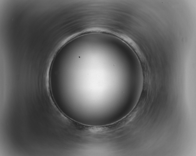 X0000089901199200707051302