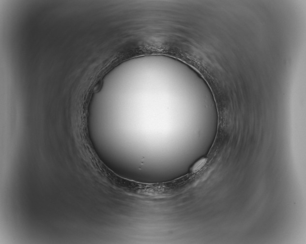X0000089901201200707051301
