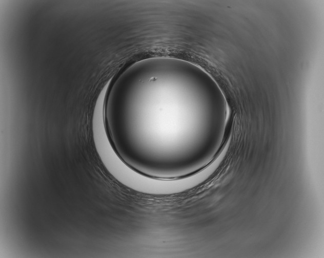 X0000089901202200707051301
