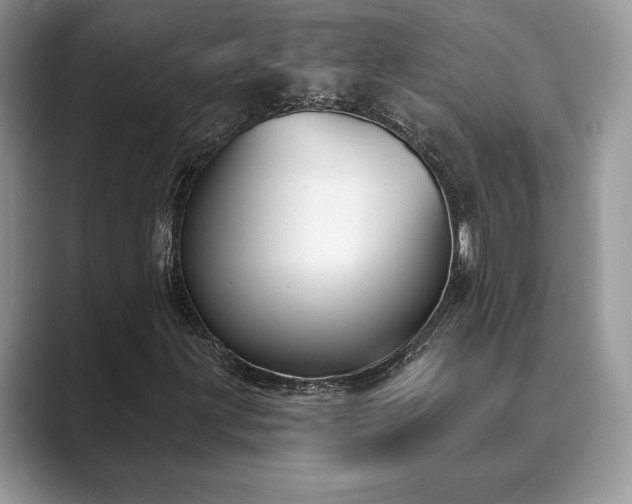 X0000089901203200707051301