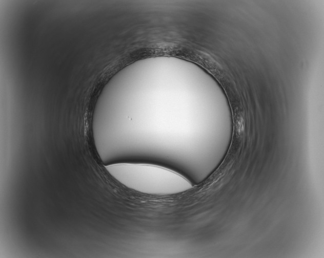 X0000089901204200707051301