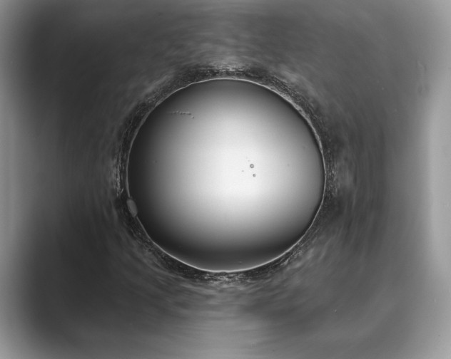 X0000089901205200707051301