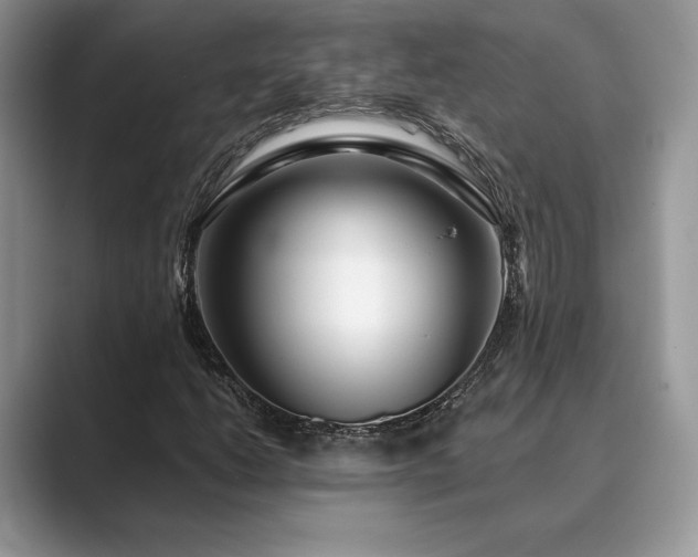 X0000089901206200707051301