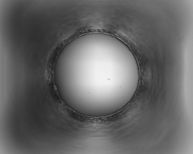 X0000089901207200707051301