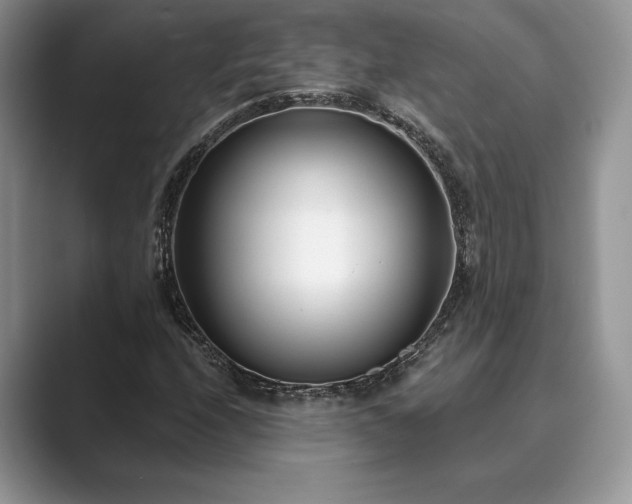 X0000089901208200707051301