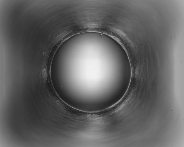 X0000089901209200707051301