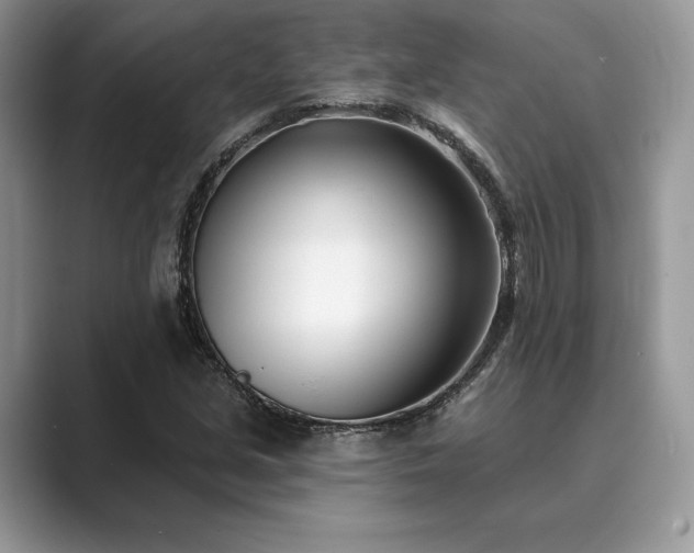 X0000089901213200707051301