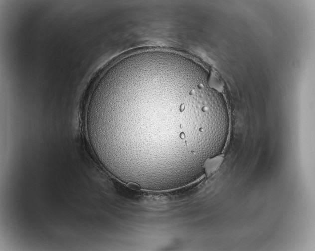 X0000089901215200707051301