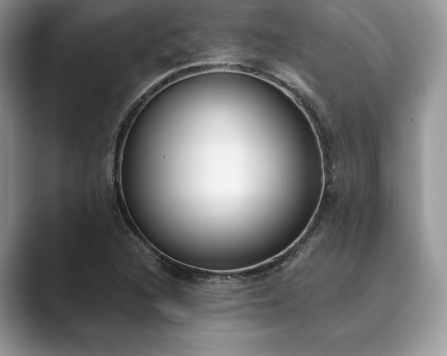 X0000089901216200707051301