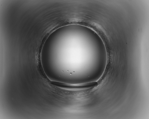 X0000089901217200707051301