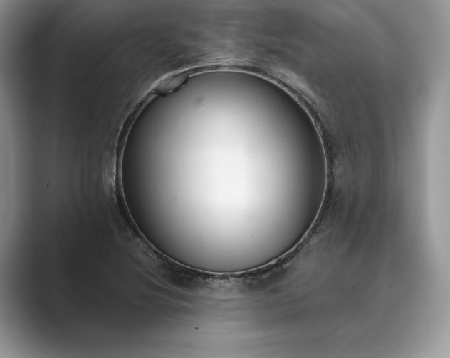 X0000089901220200707051301