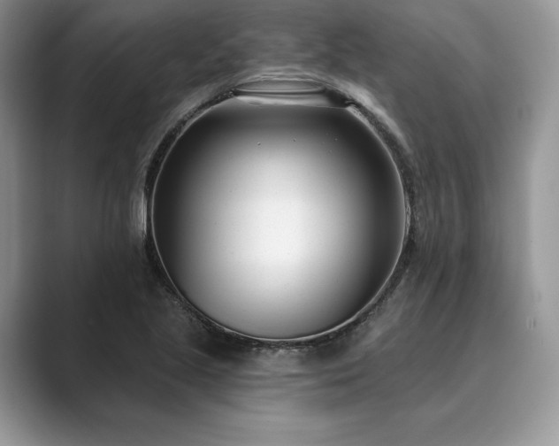 X0000089901221200707051301