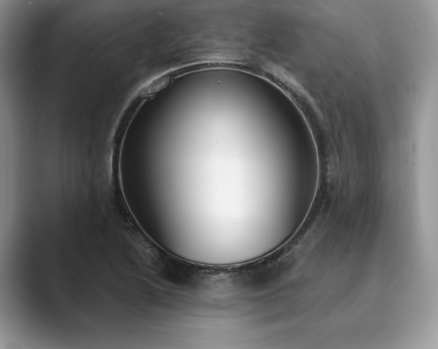 X0000089901222200707051301