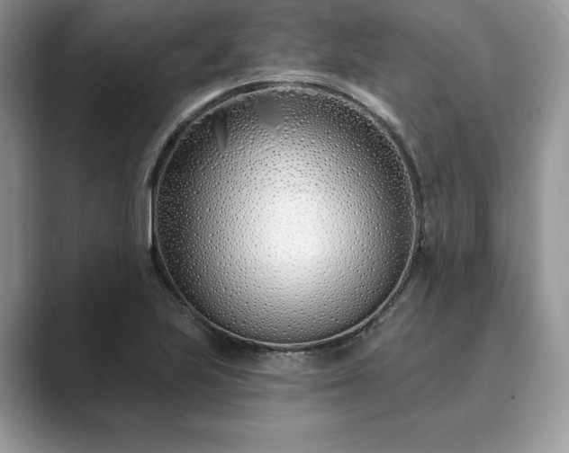 X0000089901223200707051301