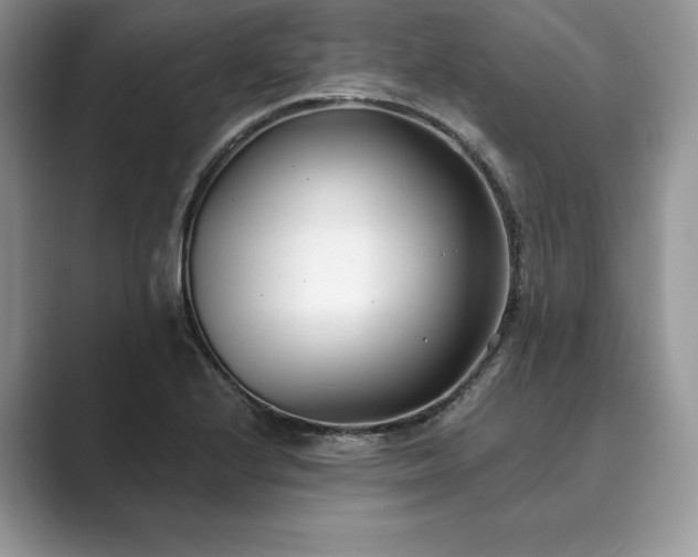 X0000089901224200707051301