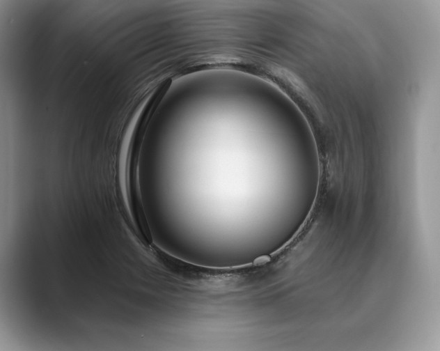 X0000089901225200707051301
