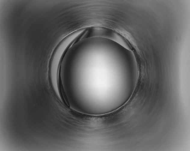 X0000089901226200707051301