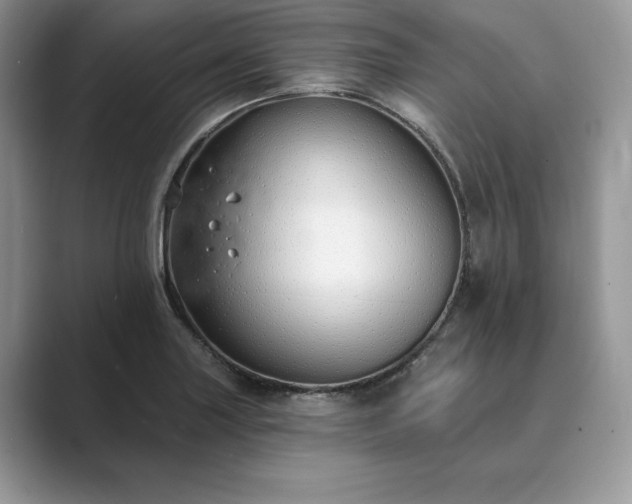 X0000089901227200707051301