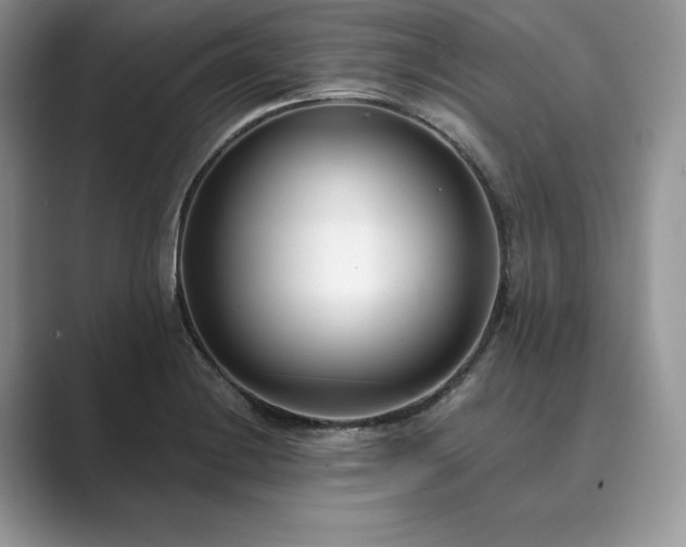 X0000089901228200707051302