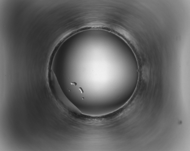 X0000089901229200707051302