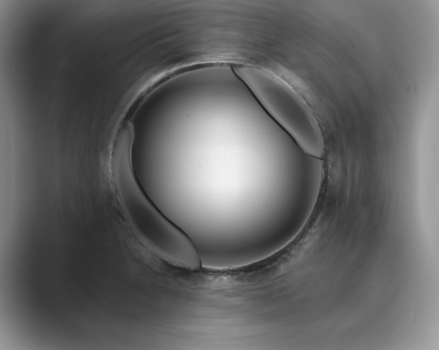 X0000089901230200707051302