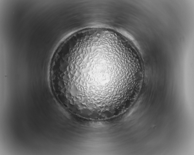 X0000089901231200707051302