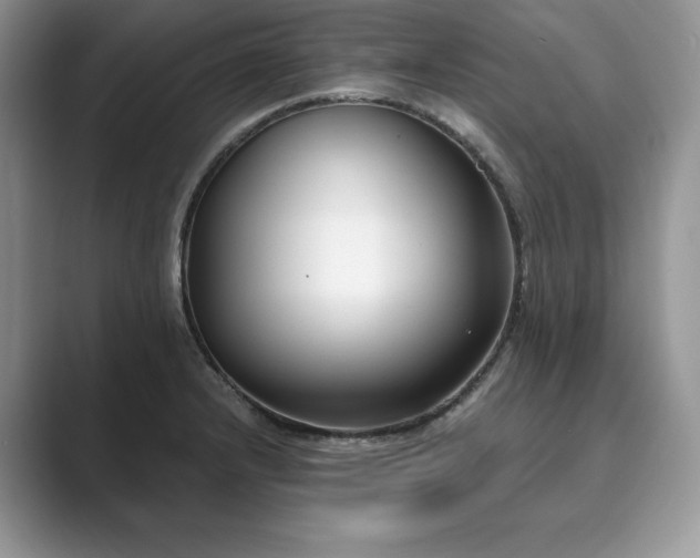 X0000089901232200707051302