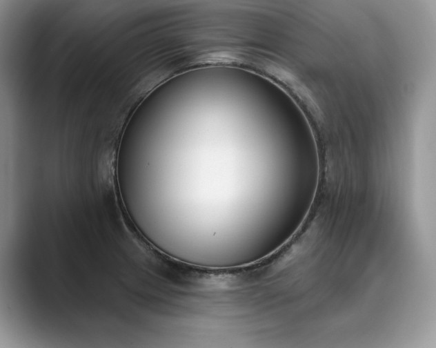 X0000089901233200707051302