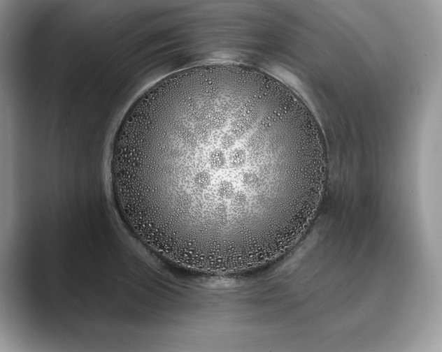 X0000089901235200707051302