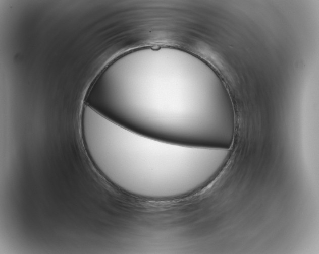 X0000089901236200707051302