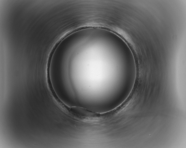 X0000089901237200707051302