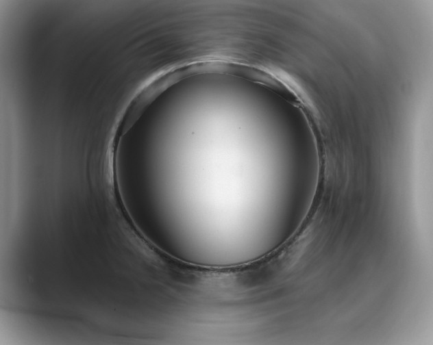 X0000089901238200707051302