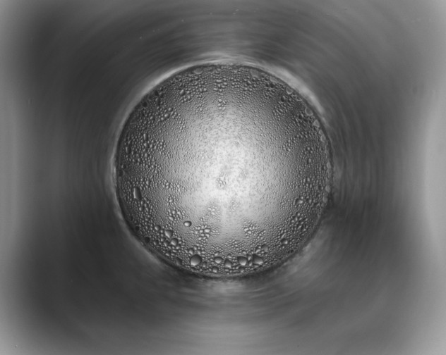X0000089901239200707051302