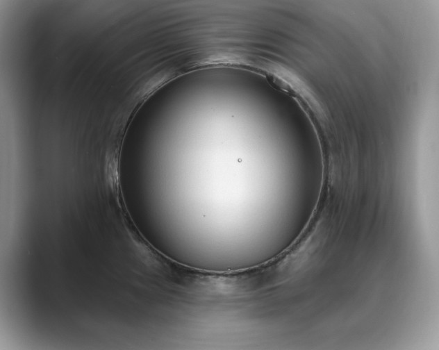 X0000089901241200707051302