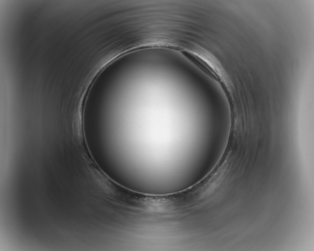 X0000089901242200707051302