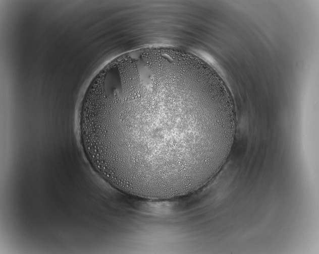 X0000089901243200707051302