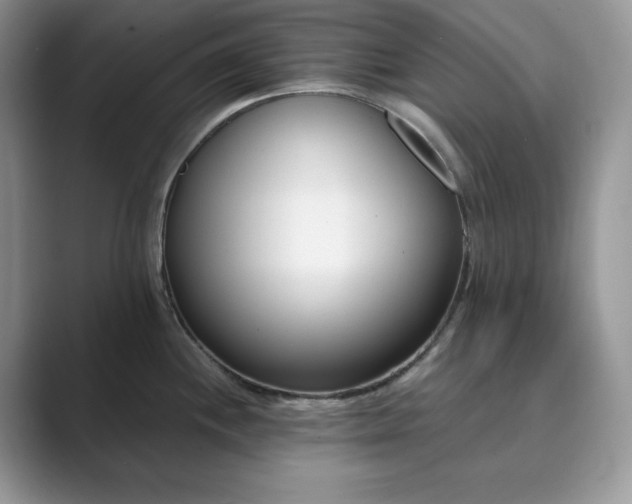 X0000089901244200707051302