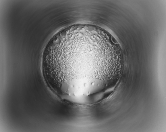X0000089901245200707051302