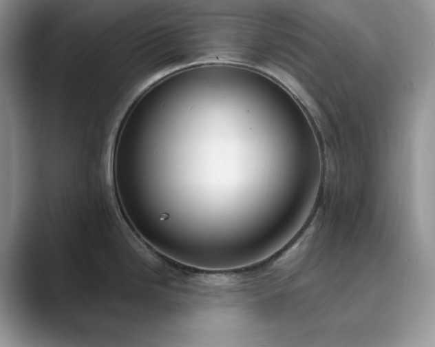 X0000089901246200707051302