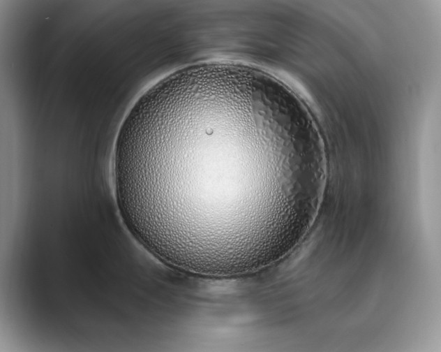 X0000089901247200707051302