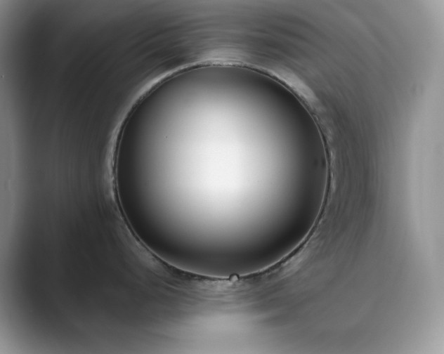 X0000089901248200707051302